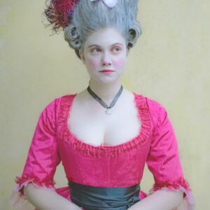Poisonous plum- 18th century round gown - Image 8