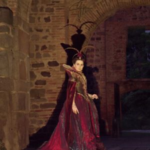 Queen of Hearts dress - Image 4
