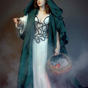 Snowberries dress - Image 2