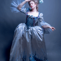 Butterfly collaboration dress- Email before purchasing!!! - Image 3