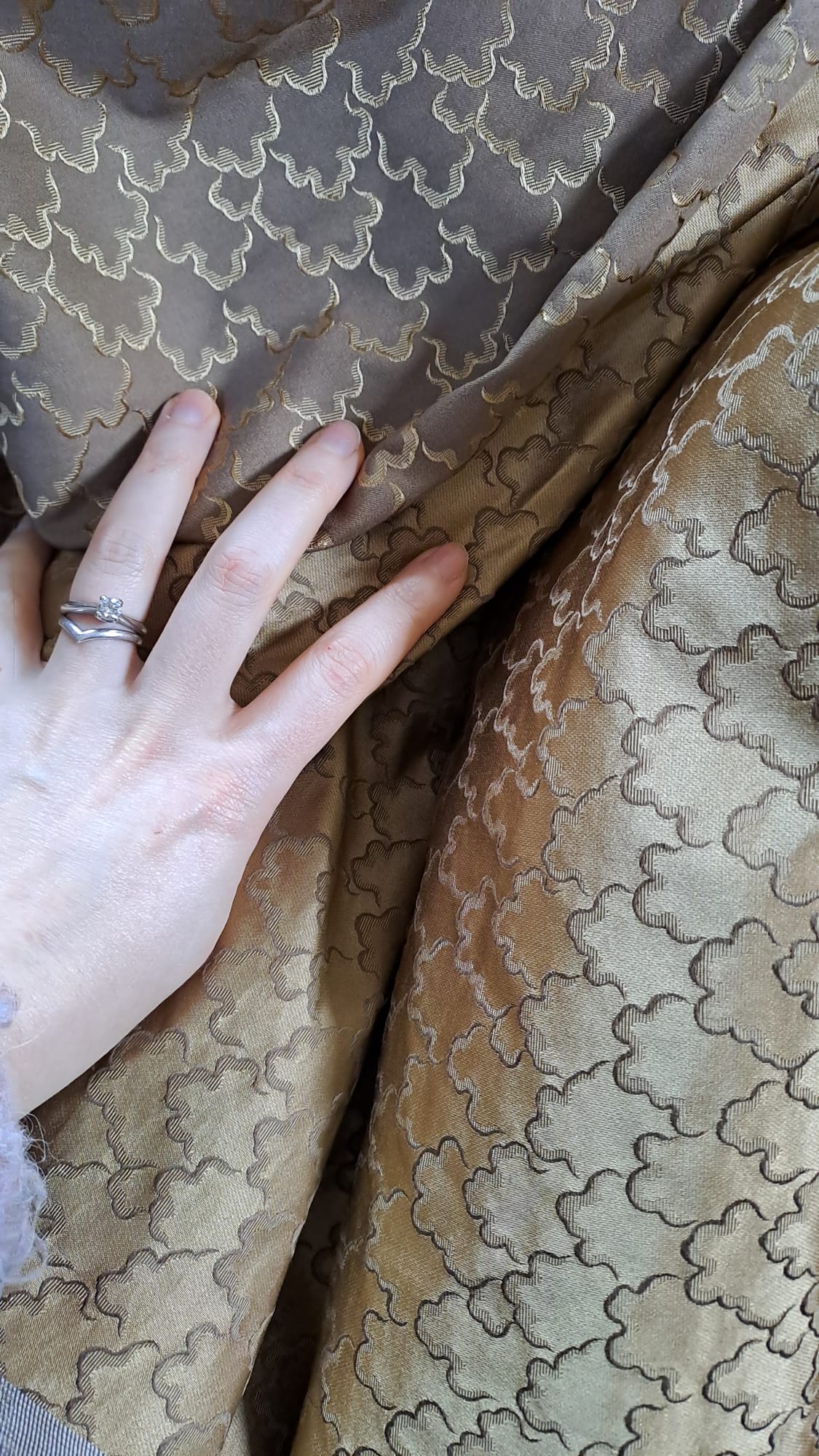 Golden Cloud 1895-1897 robe à transformation - Image 4